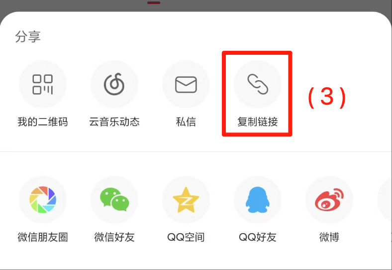 网易云音乐图片3