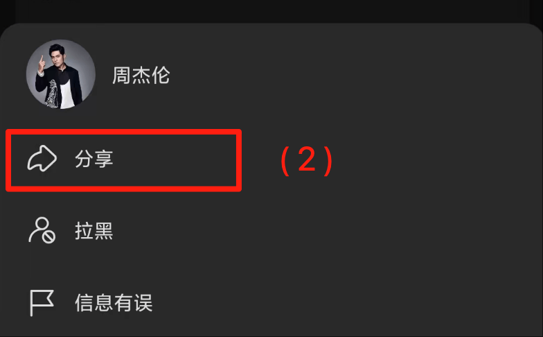 汽水音乐图片2