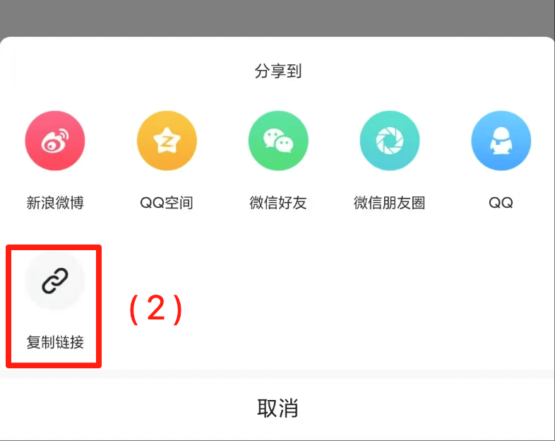 YY图片2